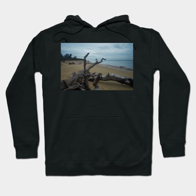 On the shore Hoodie by athexphotographs